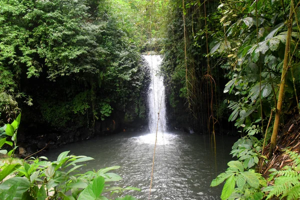 巴厘岛印度尼西亚Tabanan县Babahan村的小瀑布和序列 清澈的水 — 图库照片