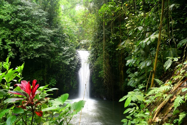 Небольшой Водопад Сыворотка Деревне Бабахан Табанане Регентство Бали Индонезия Гладкой — стоковое фото