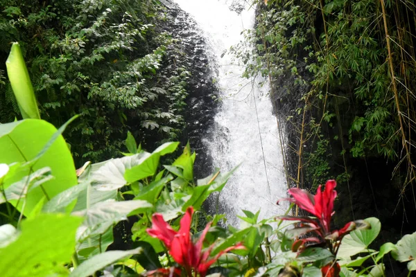巴厘岛印度尼西亚Tabanan县Babahan村的小瀑布和序列 清澈的水 — 图库照片
