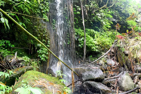Pequeña Cascada Serround Babahan Pueblo Tabanan Regencia Bali Indonesia Con —  Fotos de Stock
