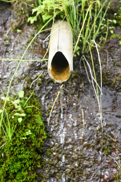 Small Water Irrigation Rice Feld — Stock Photo, Image