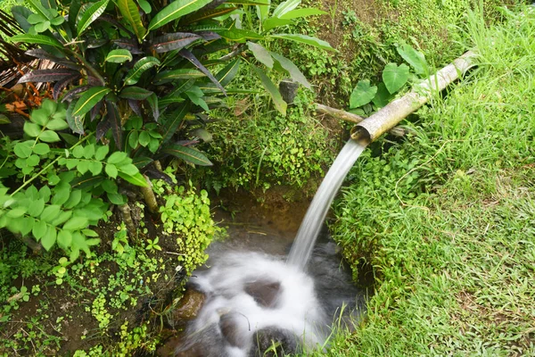 Petite Irrigation Eau Sur Champ Riz — Photo