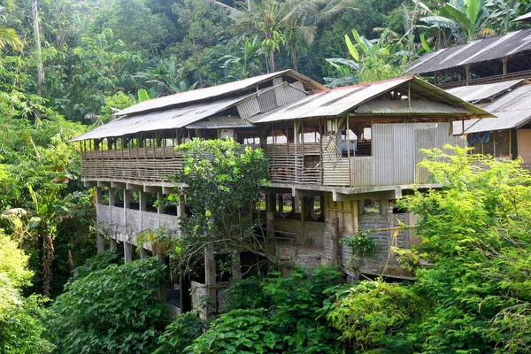 Bali Endonezya 'nın Babahan köyünde nehir kenarında tavuk çiftliği.