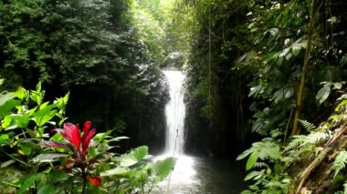 Bali Endonezya 'nın Tabanan hükümdarlığı' ndaki Babahan köyünde küçük bir şelale ve akarsu.
