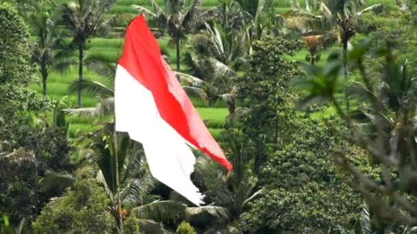 Indonéská Vlajka Červená Bílá Barva Bendera Merah Putih Indonéský Den — Stock video