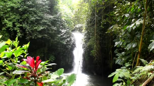 Pequeña Cascada Serround Babahan Pueblo Tabanan Regencia Bali Indonesia Con — Vídeos de Stock