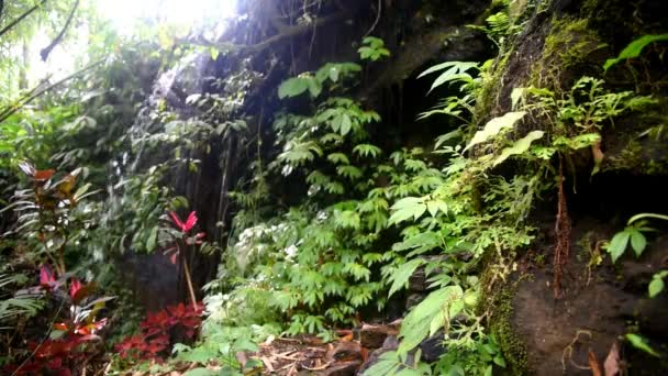 巴厘岛印度尼西亚Tabanan县Babahan村的小瀑布和序列 清澈的水 — 图库视频影像