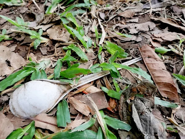 Cuchara Plástico Tumbado Suelo Naturaleza Basura Concepto Contaminación — Foto de Stock