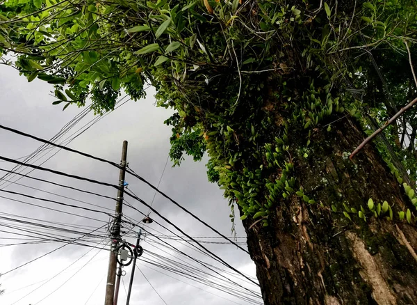 空に向かって路上の電気ケーブル — ストック写真