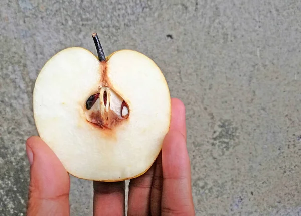 Eller Armut Dilimini Yakından Tutuyor — Stok fotoğraf