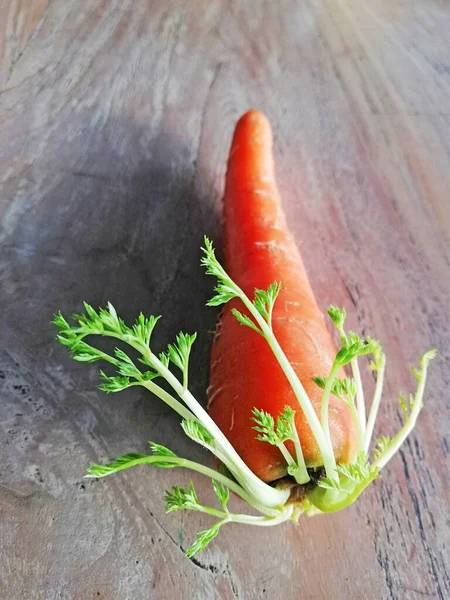 Growing Carrots Placed Brown Wooden Background — Stock Photo, Image
