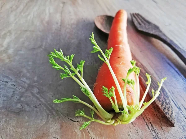 Zanahorias Cultivadas Colocadas Sobre Fondo Madera Marrón —  Fotos de Stock