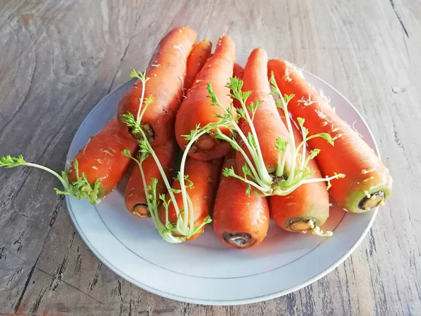 Cultiver Des Carottes Placées Sur Fond Brun Bois — Photo