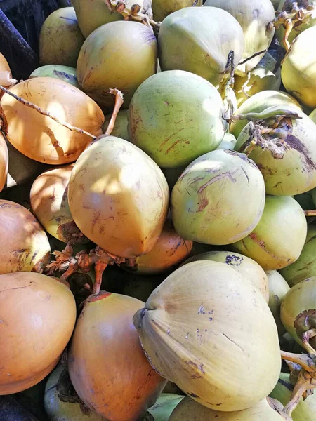 Unga Kokosfrukter Grön Orange Färg — Stockfoto