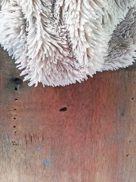 White Wool Cloth Background Close — Photo