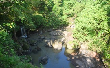 Ormandaki güzel küçük şelale
