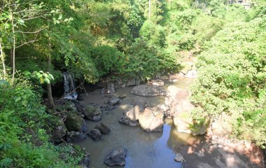 Ormandaki güzel küçük şelale