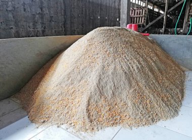 Tavuk çiftliğine sığır yemi konmuş.