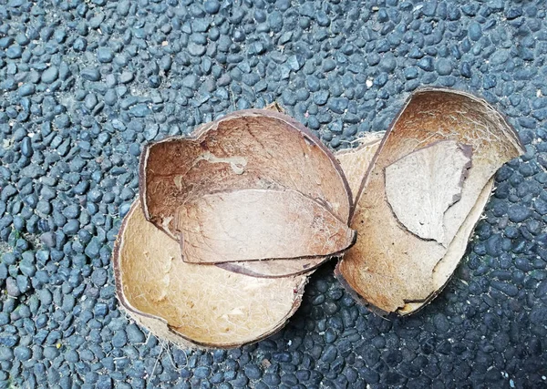 바닥에 코코넛 껍데기 — 스톡 사진