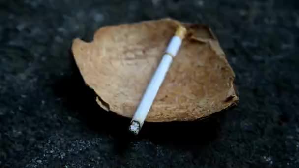 Cigarrillos Ardientes Timelapse Cáscara Coco — Vídeo de stock