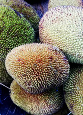 Yerde yeşil renkli meyveler var.