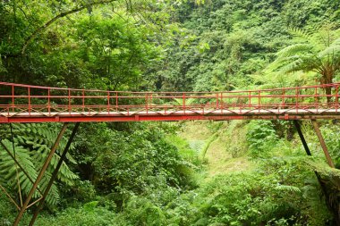 Banyu Mala şelalesi, Endonezya, Bali 'nin Buleleng naipliğinde.