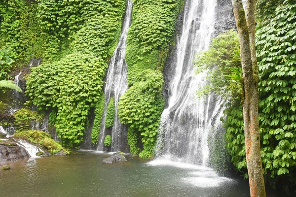 Водопад Банью Мала Регентство Булеленг Бали Индонезия — стоковое фото