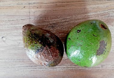 Avokado meyvesi yakın planda, kahverengi ahşap arka planda.