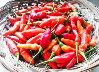 Geleneksel kahverengi tabağa kırmızı biber konmuş.