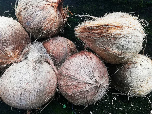床に置かれた古いココナッツフルーツ — ストック写真