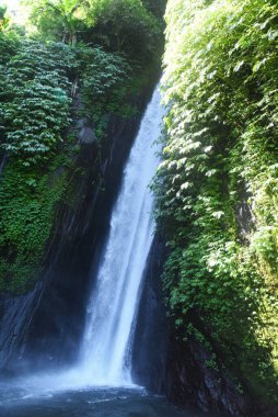 Munduk waterfall in Buleleng regency of Bali Indonesia