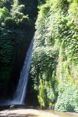 Bali Endonezya 'nın Buleleng naipliğinde Munduk şelalesi