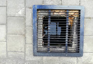 Asfalt döşeme arasında kurulmuş su drenajı