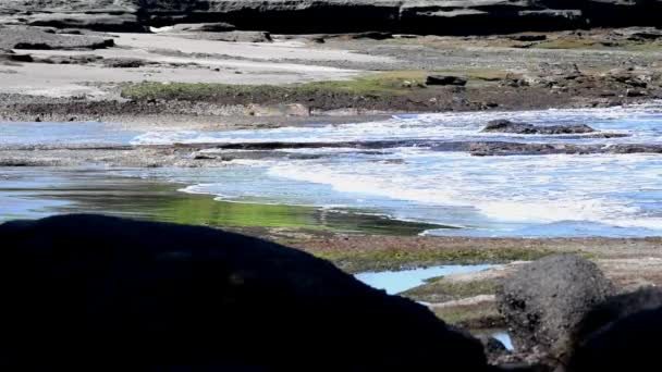 Seascapes South Coast Bali Island Indonesia Rock Formation Black Sand — 비디오