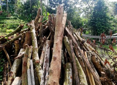 Fire wood,drying and placed on the floor under sunny day