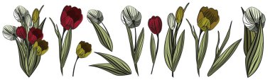 A set of different, colorful, graphic tulips. Spring, vector illustration. Postcard. International Women's Day. Template for advertising. An unusual bouquet of flowers. March 8th. Isolated flowers.