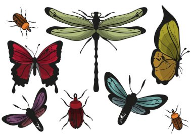 Bir grup böcek. Kelebekler, böcekler ve yusufçuk elleriyle çizilmiş. Hayvanların vektör çizimi. Fantastik, renkli böcekler..