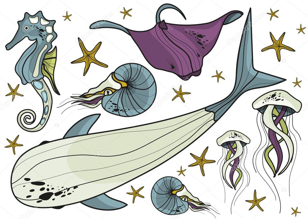 A set of marine inhabitants. Shrimp, whale, electric stingray, starfish, seahorse, jellyfish. Ocean. Vector illustration of animals. Mammals.