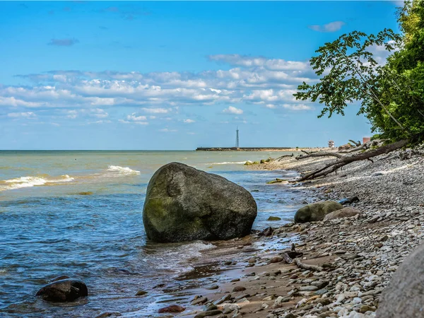 Baltık deniz kıyısı. Finlandiya Körfezi kıyısındaki sahil, Ida-Virumaa Estonya