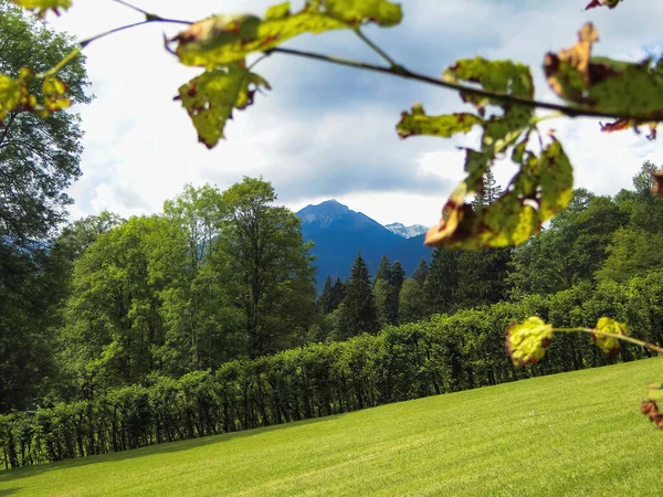 Park Schloss Linderhof Bavaria Bavarian Nature Mountains Alpine Meadows Various — ストック写真