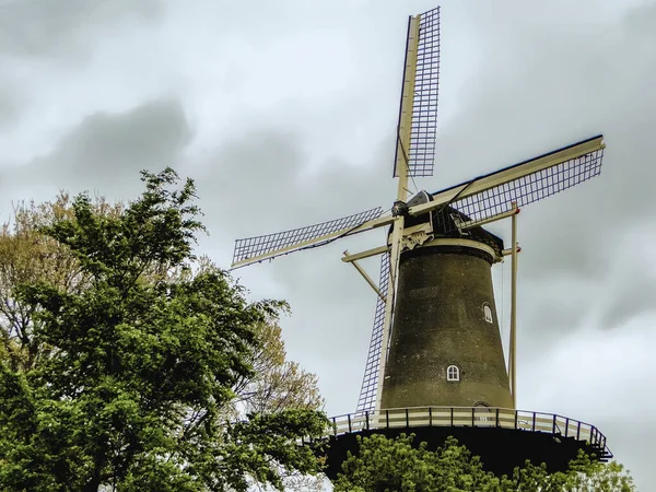 Hollanda rüzgar gülü. Güzel tarihi bir bina, bir dönüm noktası. Kısa bir süre önce, un öğütme mekanizmaları her yerde kullanılıyordu..             