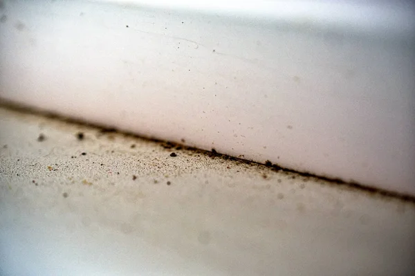 白墙交界处的污垢和霉菌 — 图库照片