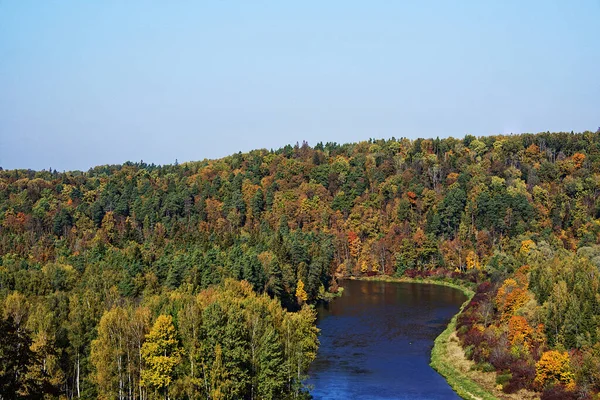Biegung Des Flusses Gauja Inmitten Des Waldes Sigulda Herbst Lettland — Stockfoto