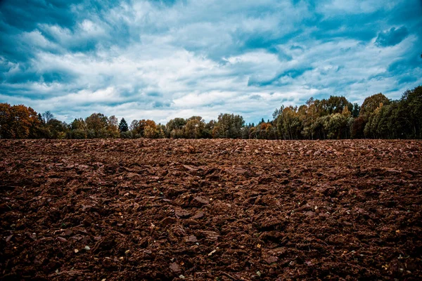 Захоплюючий Краєвид Оранжевого Поля Восени Земля Плодоносна — стокове фото