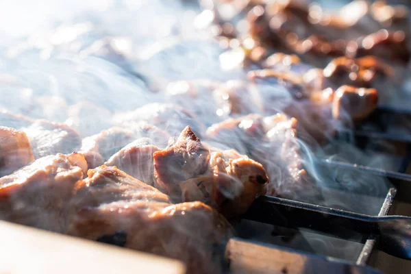 Närbild Bitar Stekt Kött Ett Spett Läckra Saftiga Kyckling Och — Stockfoto