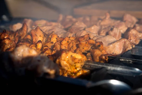 Rámu Jsou Grilu Grilovány Lahodné Šťavnaté Kuřecí Vepřové Kebab Špejlích — Stock fotografie
