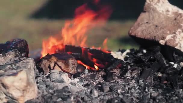 Bříza Hoří Ohni Mezi Uhlím — Stock video