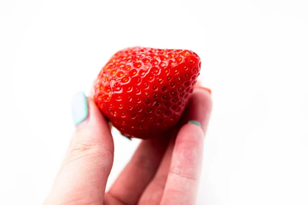 一个女人的手拿着一个白色背景的多汁的红草莓 实地深度小 — 图库照片