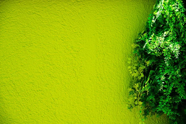 Close Artificial Greenery Decor Green Textured Wall Copy Space — Stockfoto