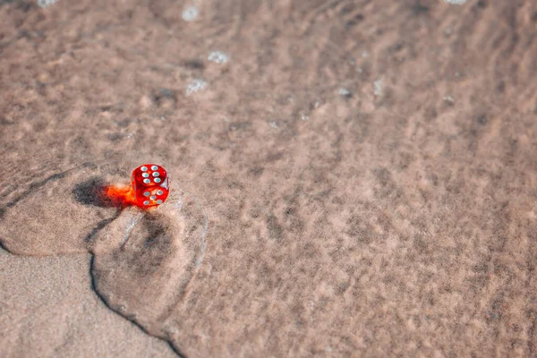One Red Dice Lie Sand Shore Water Washes Them Copy — Stock fotografie